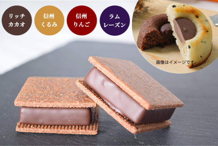 【焼菓子バラエティ6個セット】チョコサンド4個(リッチカカオ・信州くるみ・信州りんご・ラムレーズン各1個)&GAKUティグレ2個(チョコ・ミルク各1個)