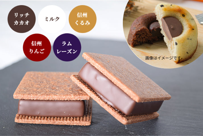 【焼菓子バラエティ12個セット】チョコサンド6個(リッチカカオ2個・ミルク・信州くるみ・信州りんご・ラムレーズン各1個)&GAKUティグレ6個(チョコ・ミルク各3個)