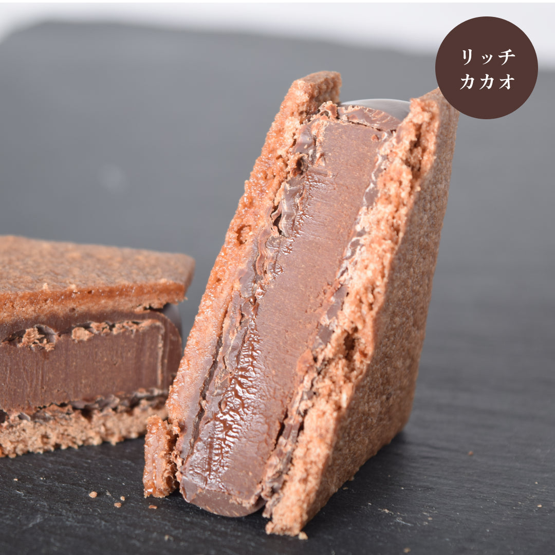 【信州の秋】GAKUチョコレートサンド6個セット(リッチカカオ・信州くるみ・信州りんご・ラムレーズン・信州焼き芋・栗 各1個入)