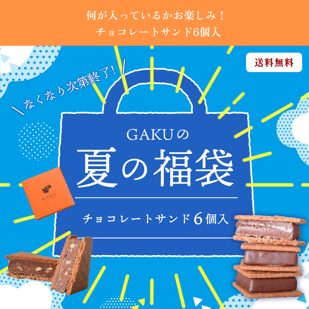 【夏のお楽しみ福袋】【送料無料】何が入っているかお楽しみ! チョコレートサンド6個入【次回使えるクーポン付き】