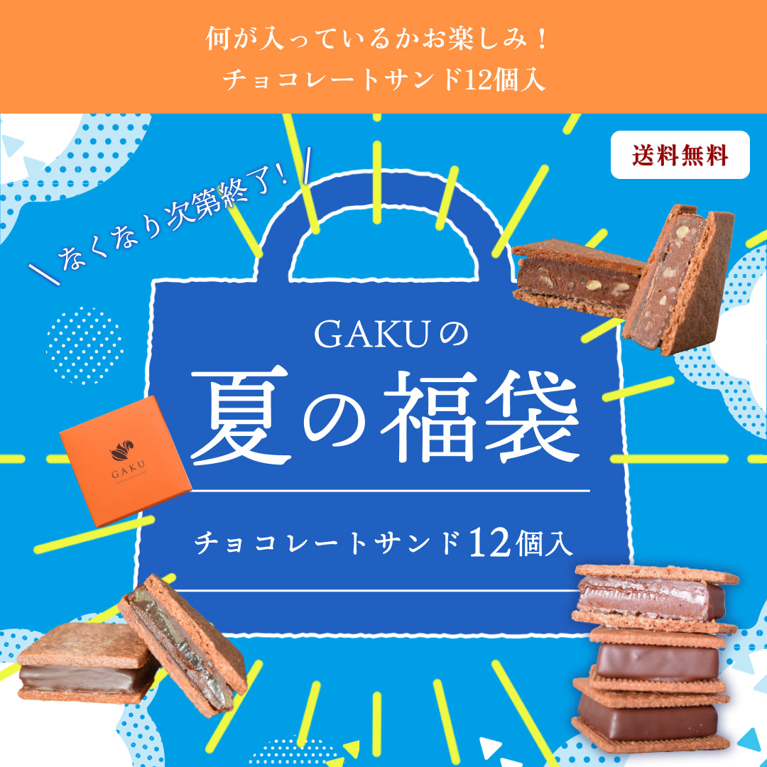 【夏の大満足福袋】【送料無料】何が入っているかお楽しみ! チョコレートサンド12個入【次回使えるクーポン付き】