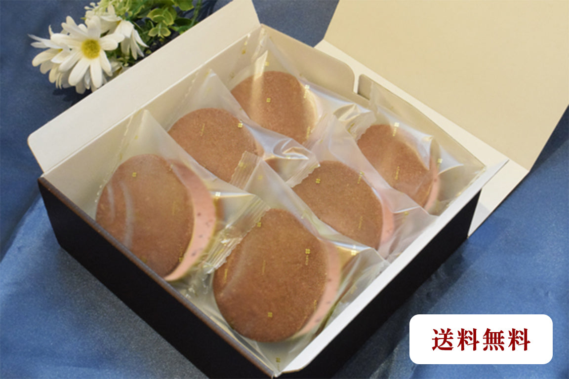 【お中元ギフト/送料無料】GAKUアイスクッキーサンド(チョコレート×6個入)