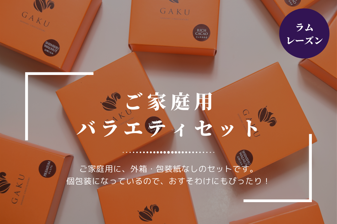 【ご家庭用に!】GAKUチョコレートサンド12個(ラムレーズン)