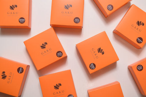 信州ショコラトリーGAKU チョコレートサンド リッチカカオ ブルーベリー ラズベリー 信州くるみ
