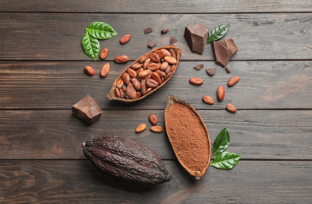 高級チョコレートの世界｜信州ショコラトリーGAKUの人気おすすめブランドとギフト特集【2025年最新版】