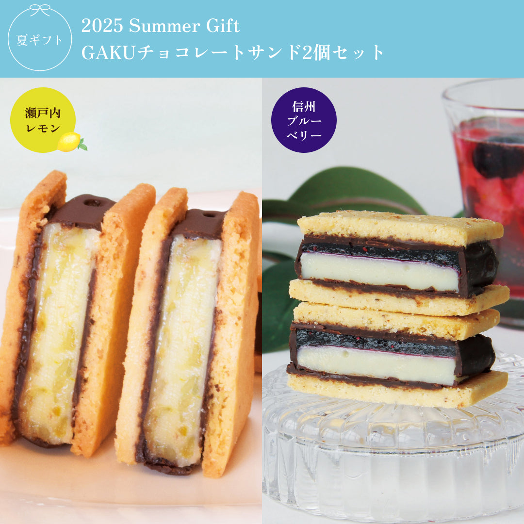 GAKUチョコレートサンド2個セット（瀬戸内レモン・信州ブルーベリー）