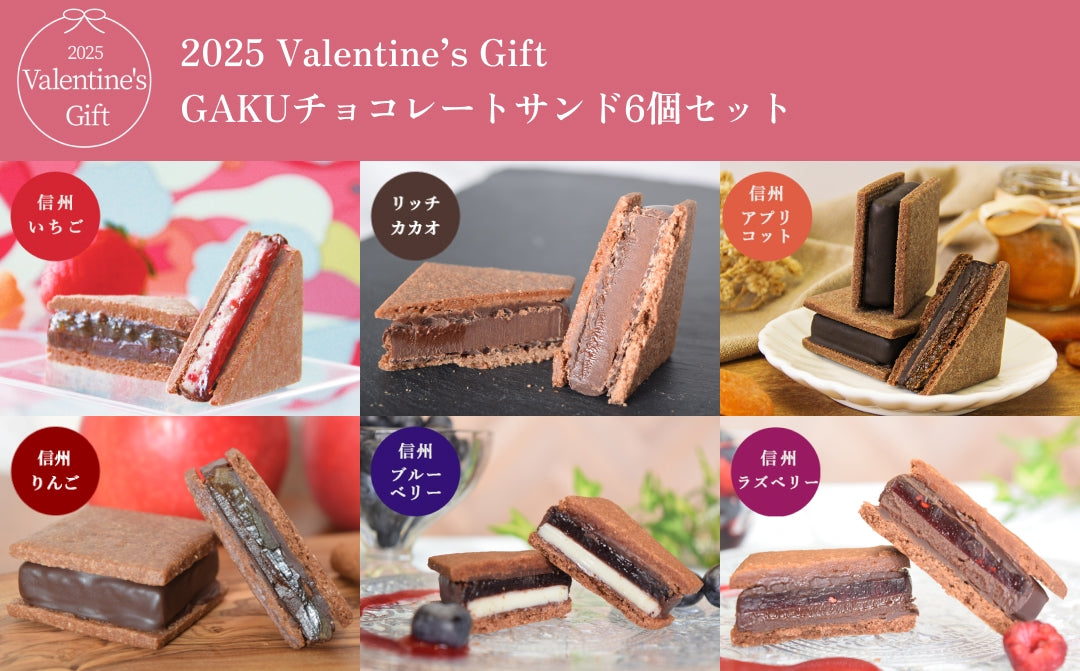 【2025 Valentine's Day】GAKUチョコレートサンド6個セット（リッチカカオ・信州いちご・信州ブルーベリー・信州アプリコット・信州りんご・信州ラズベリー各1個入 / 合計6個）