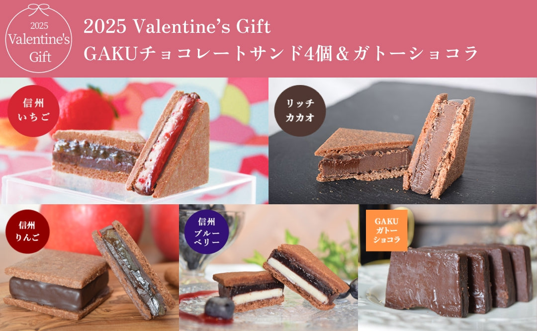 【2025 Valentine's Day】【送料無料】GAKUチョコレートサンド4個セット（リッチ・信州いちご・信州りんご・信州ブルーベリー）＆ガトーショコラ