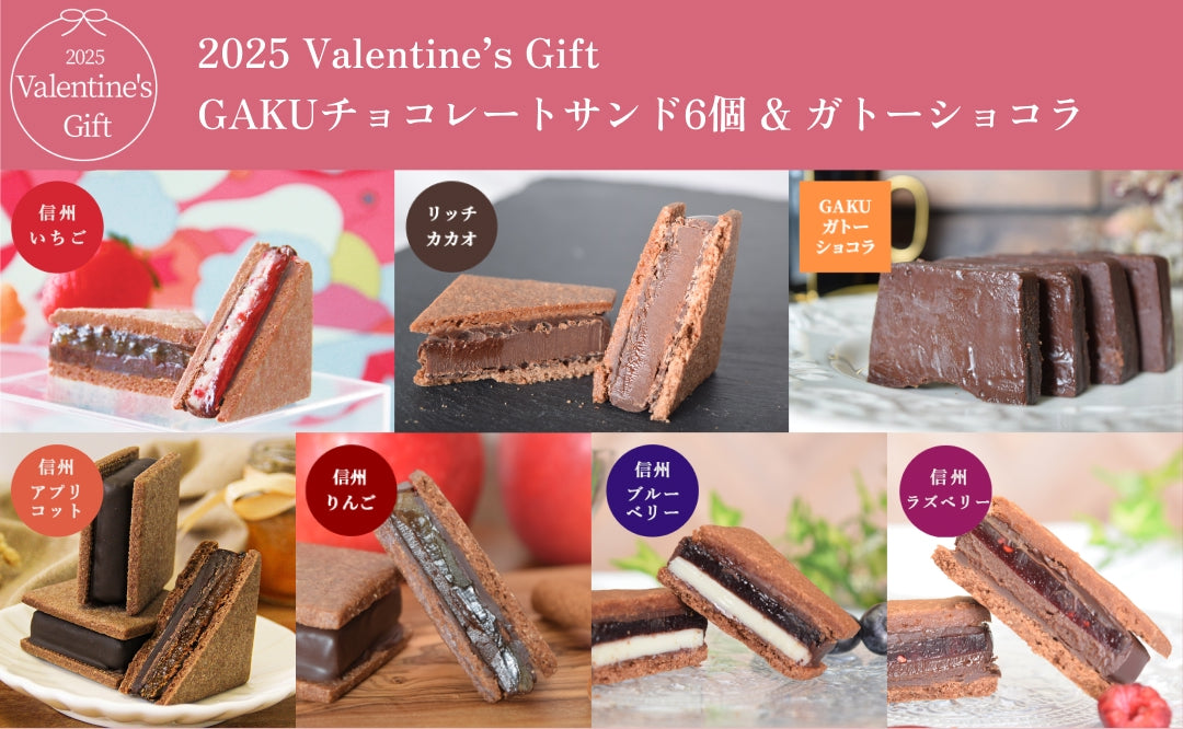 【2025 Valentine's Day】【送料無料】GAKUチョコレートサンド6個セット（リッチ・信州いちご・信州りんご・信州アプリコット・信州ラズベリー・信州ブルーベリー）＆ガトーショコラ