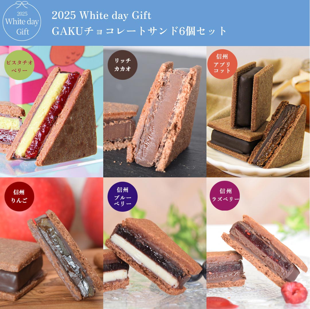 【2025 White Day】GAKUチョコレートサンド6個セット （リッチカカオ・ピスタチオベリー・信州ブルーベリー・信州アプリコット・信州りんご・信州ラズベリー各1個）