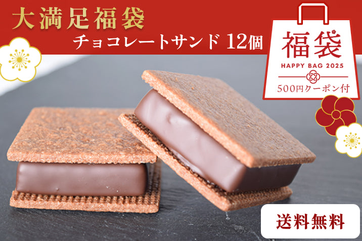 【2025 GAKUチョコレートサンド大満足福袋 】【通常価格6,000円→福袋価格5,800円&送料無料】何が入っているかお楽しみ！チョコレートサンド12個入【次回使えるクーポン付き】