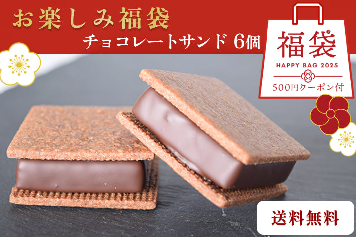 【2025 GAKUチョコレートサンドお楽しみ福袋】【送料無料】何が入っているかお楽しみ！ チョコレートサンド6個入【次回使えるクーポン付き】