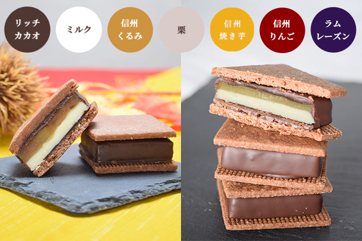 GAKUチョコレートサンド12個セット（リッチカカオ・ミルク・信州くるみ・栗・信州焼き芋各2個入、信州りんご・ラムレーズン各1個入）