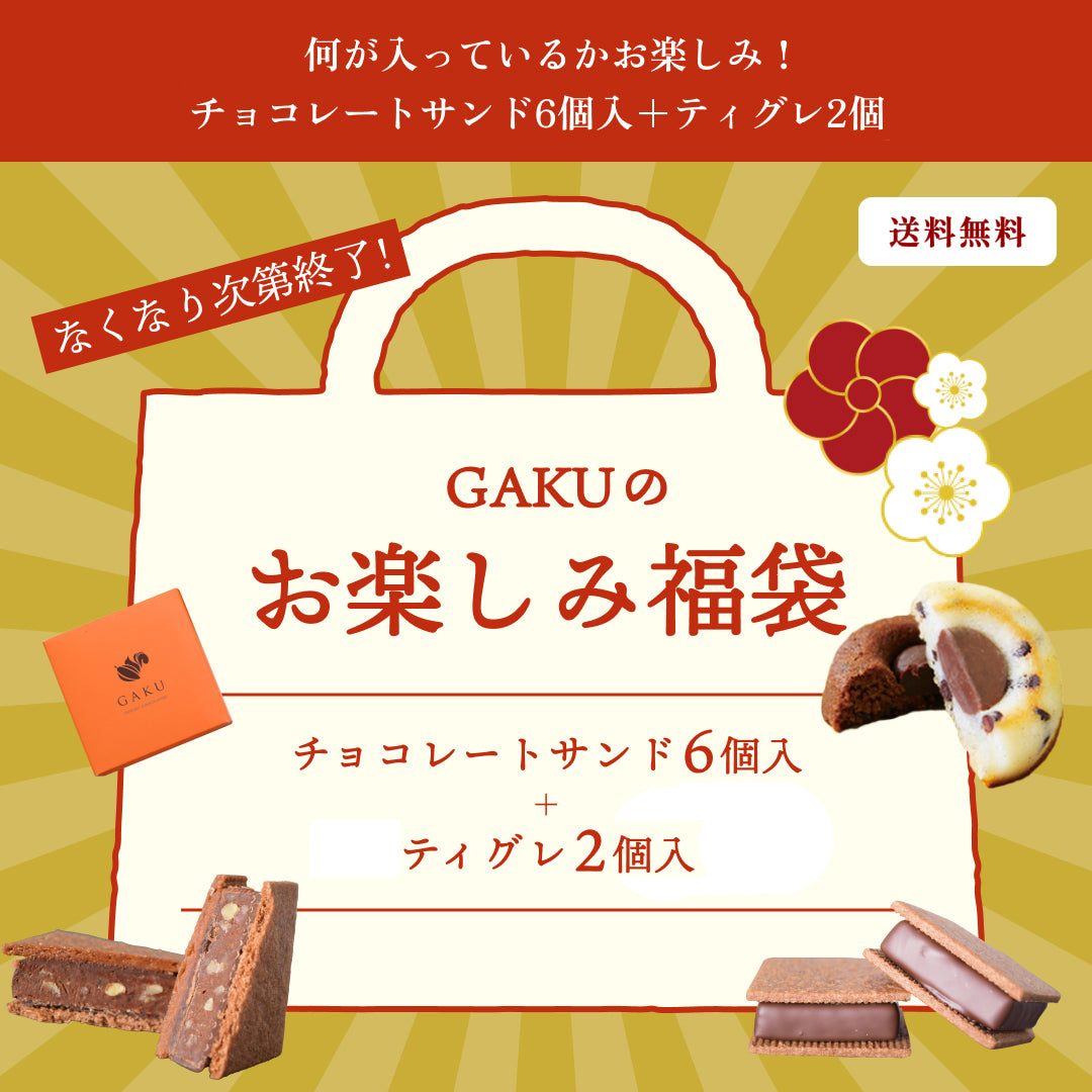 【2026 GAKUチョコレートサンドお楽しみ福袋】【送料無料】何が入っているかお楽しみ！ チョコレートサンド6個入＋ティグレ2個【次回使えるクーポン付き】