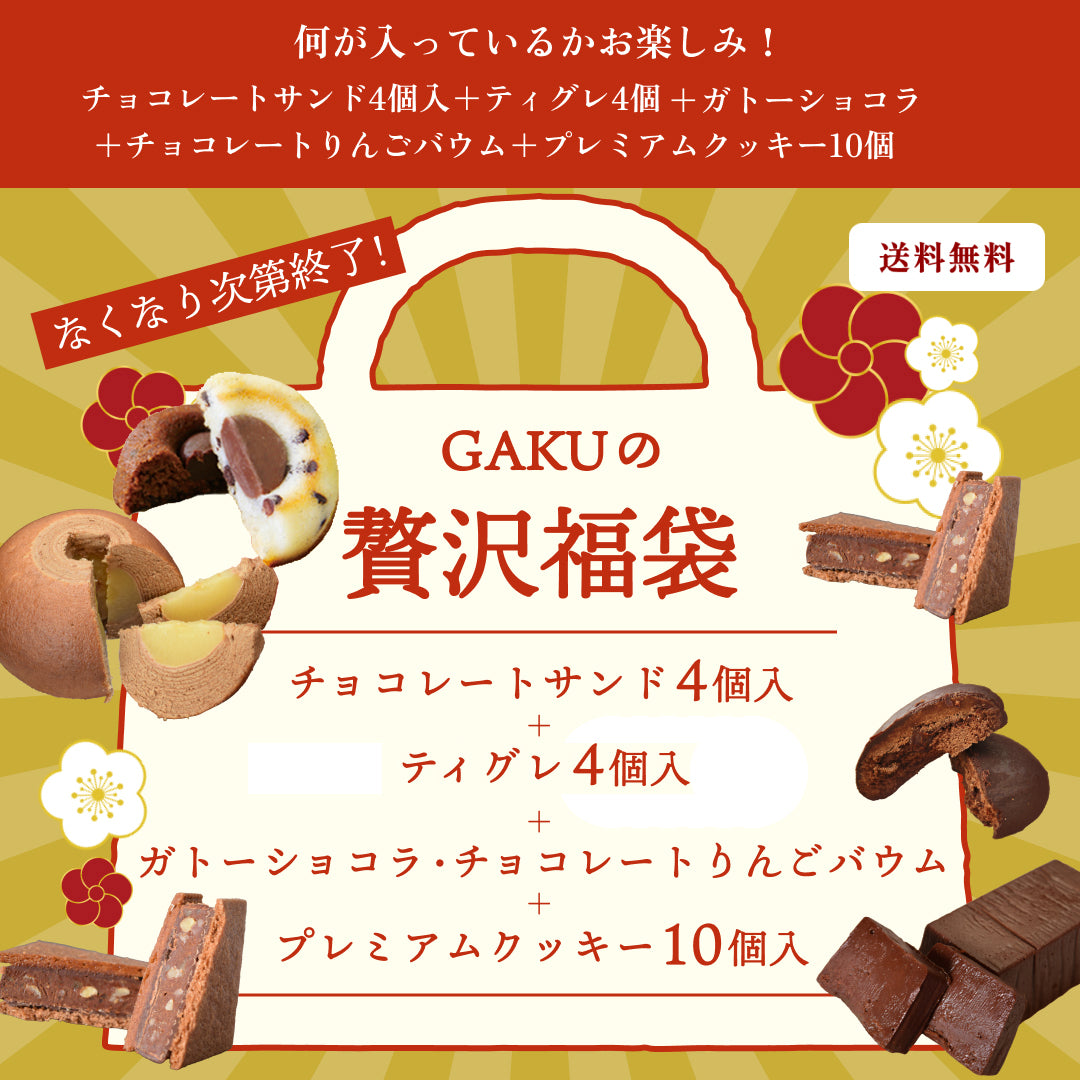 【2026 GAKUチョコレートサンド贅沢福袋】【送料無料】何が入っているかお楽しみ！ チョコレートサンド4個 ＆ティグレ4個 &チョコレートりんごバウム &ガトーショコラ  &プレミアムクッキー10個入