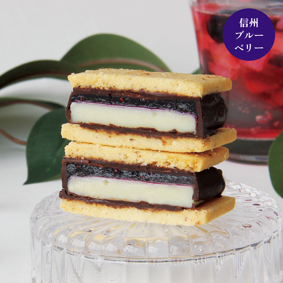 GAKUチョコレートサンド【信州ブルーベリー】