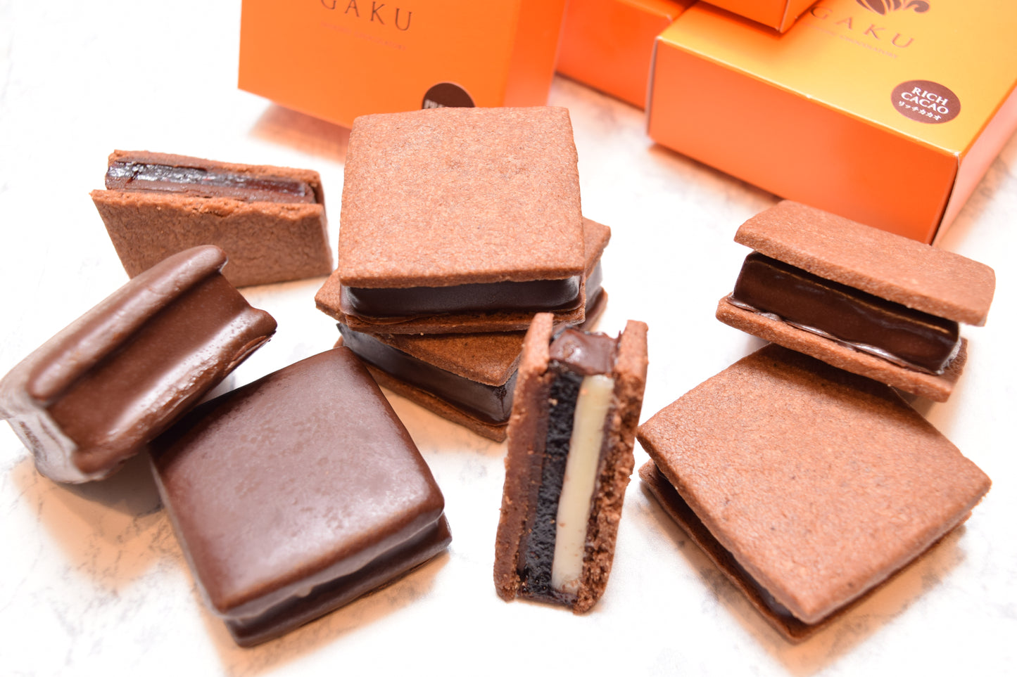 【2026 GAKUチョコレートサンドお楽しみ福袋】【送料無料】何が入っているかお楽しみ！ チョコレートサンド6個入【次回使えるクーポン付き】