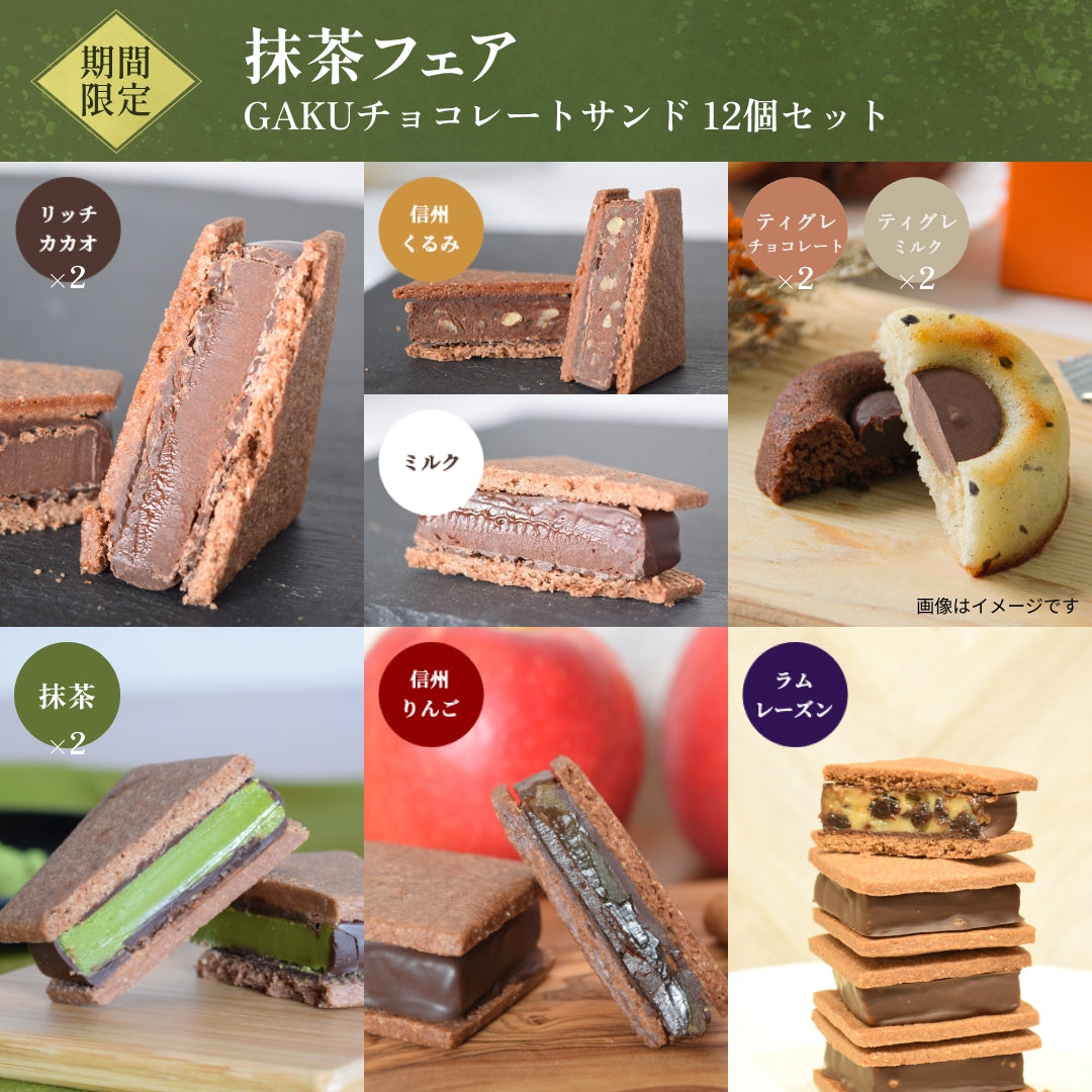 送料無料】【初回注文限定】GAKUおまかせセット（チョコサンド6