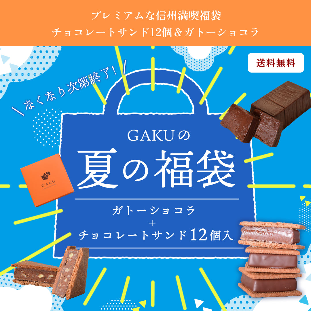 【プレミアムな信州満喫福袋】【送料無料】 チョコレートサンド12個＆ガトーショコラ【次回使えるクーポン付き】