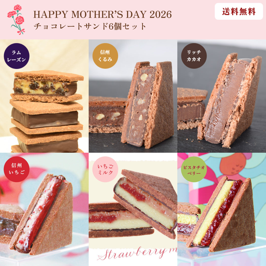 【母の日ギフト2026】【送料無料】チョコレートサンド6個セット（リッチカカオ・信州くるみ・ラムレーズン・信州いちご・信州いちごミルク・ピスタチオベリー）