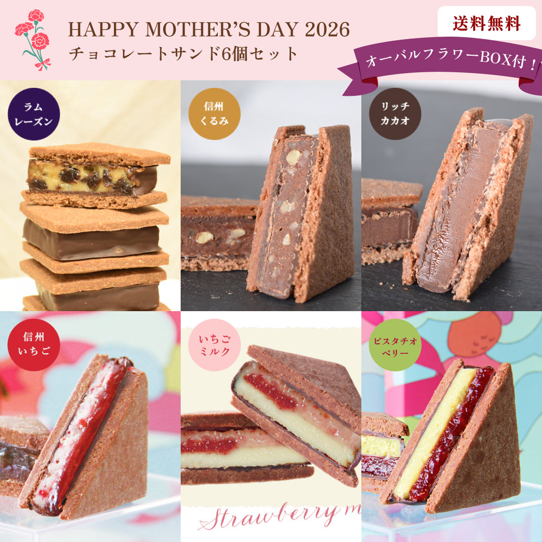 【母の日ギフト2026】【送料無料】オーバルフラワーBOX付！チョコレートサンド6個セット（リッチカカオ・信州くるみ・ラムレーズン・信州いちご・信州いちごミルク・ピスタチオベリー）