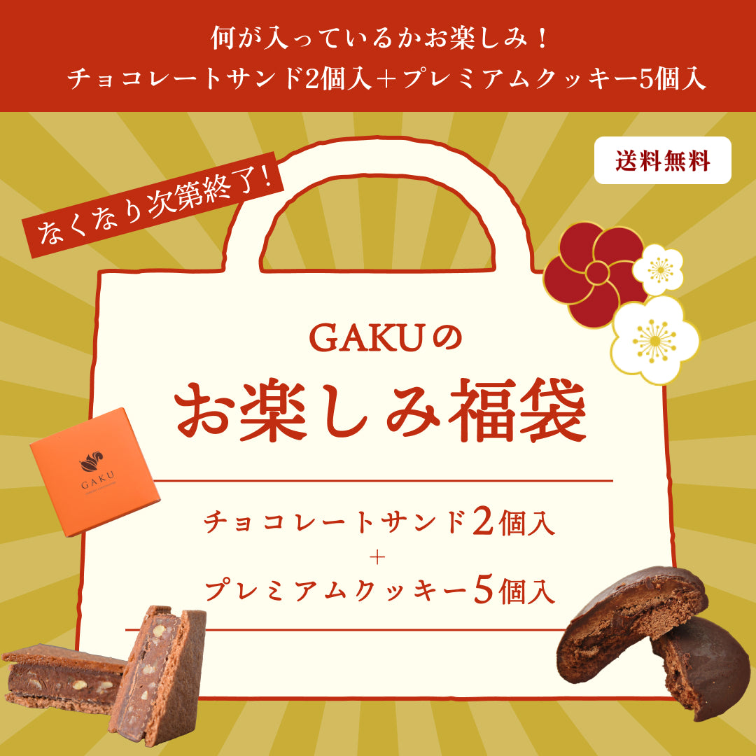 【2026 GAKUチョコレートサンドお楽しみ福袋】【送料無料】何が入っているかお楽しみ！ チョコレートサンド2個＆プレミアムクッキー5個入【次回使えるクーポン付き】