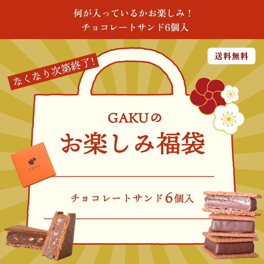 【2026 GAKUチョコレートサンドお楽しみ福袋】【送料無料】何が入っているかお楽しみ！ チョコレートサンド6個入【次回使えるクーポン付き】