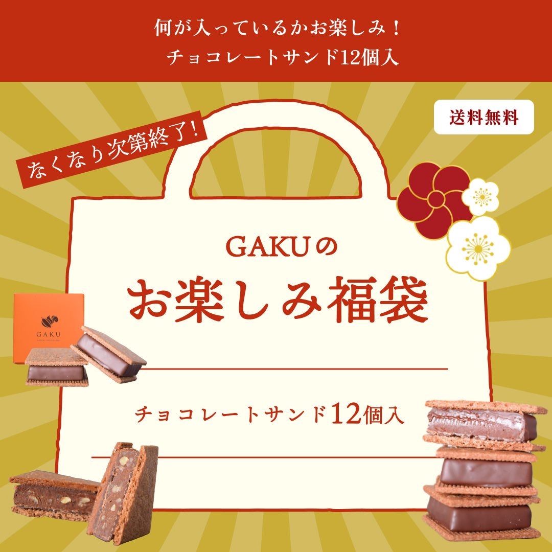 【2026 GAKUチョコレートサンドお楽しみ福袋】【送料無料】何が入っているかお楽しみ！ チョコレートサンド12個入【次回使えるクーポン付き】