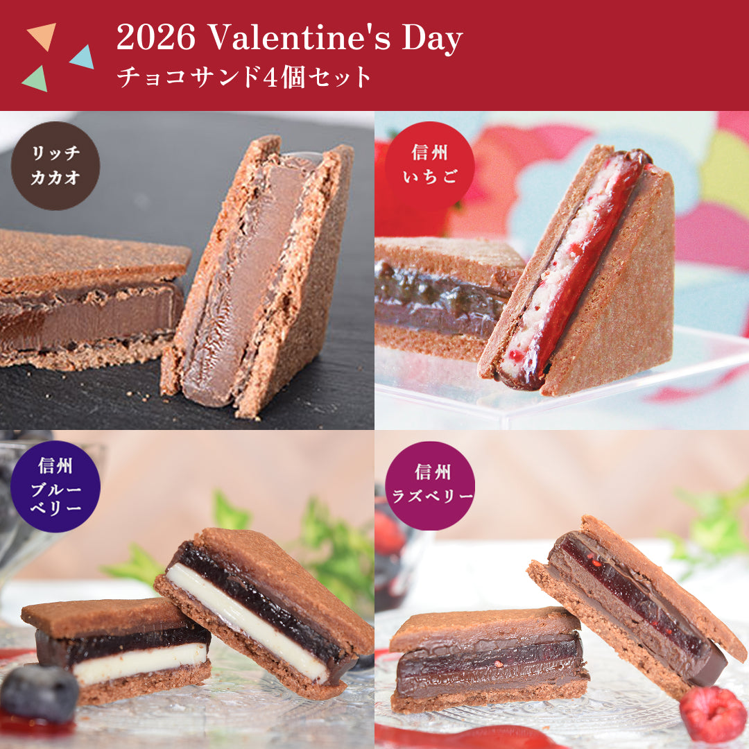 【2026 Valentine's Day】GAKUチョコレートサンド4個セット（リッチカカオ・信州いちご・信州ブルーベリー・信州ラズベリー）