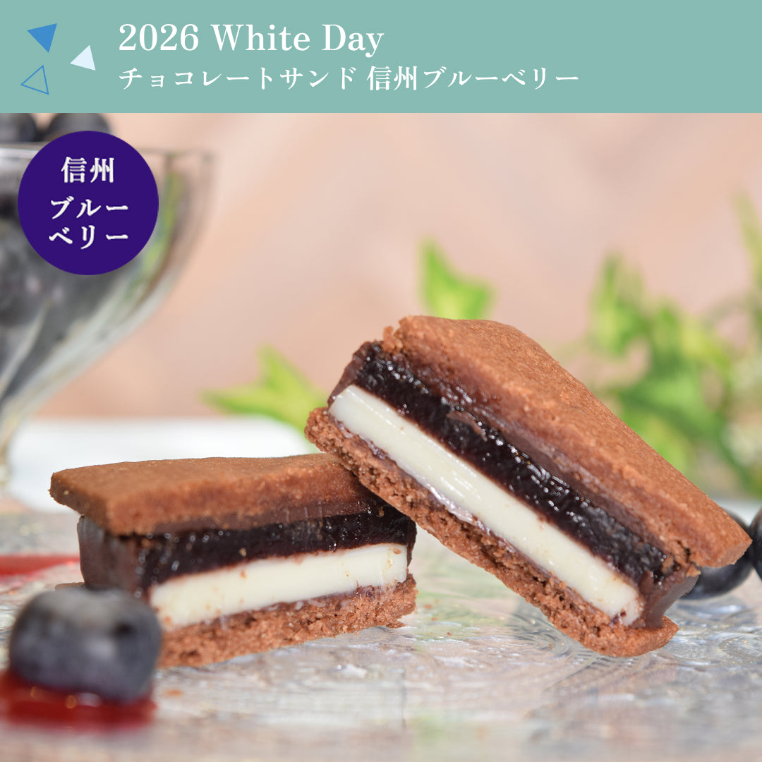 【送料無料】【2026 White's Day】チョコレートサンド4個（リッチカカオ・信州いちご・信州ブルーベリー・信州ラズベリー）＆ガトーショコラ