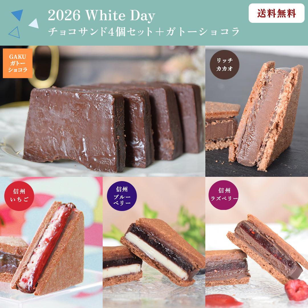 【送料無料】【2026 White's Day】チョコレートサンド4個（リッチカカオ・信州いちご・信州ブルーベリー・信州ラズベリー）＆ガトーショコラ