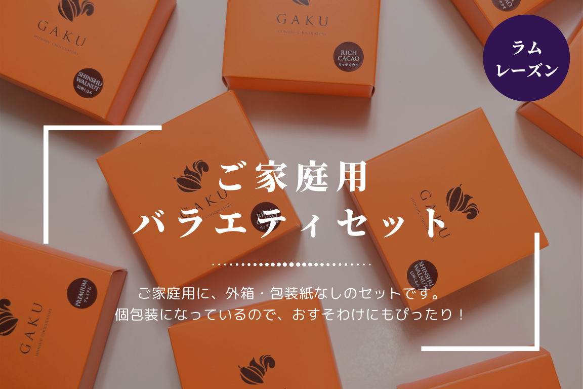 【ご家庭用に！】GAKUチョコレートサンド（ラムレーズン 12個入）