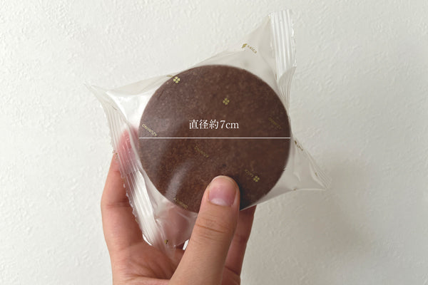 【お中元ギフト/送料無料】GAKUアイスクッキーサンド12個入（チョコレート・信州くるみ・信州ブルーベリー・ラズベリー・マンゴー・抹茶×2個入）